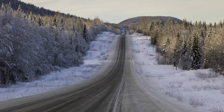 Conheça os perigos na Colúmbia Britânica - Créditos: depositphotos.com / klevit.shaw.ca