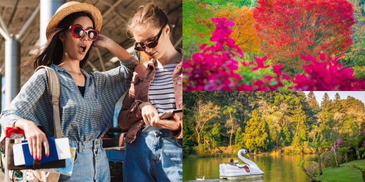 Cidade fundada há 70 anos é a capital brasileira do chocolate artesanal, e atrai milhões de turistas com seu charme europeu na Serra Gaúcha