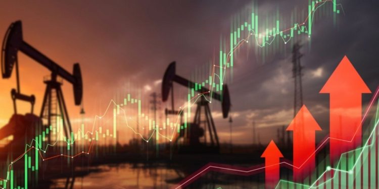 Imagem: Shutterstock