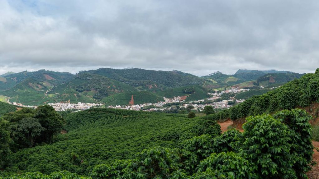 Com trilhas que atingem 2.892 metros no Pico da Bandeira e cafés premiados, o roteiro em Alto Caparaó une o ecoturismo à rota da bebida especial em MG