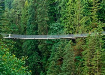 A ponte suspensa canadense possui 137 metros de comprimento sobre o rio Capilano; erguida a 70 metros de altura, ela é um marco da floresta