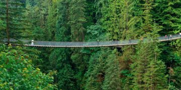 A ponte suspensa canadense possui 137 metros de comprimento sobre o rio Capilano; erguida a 70 metros de altura, ela é um marco da floresta