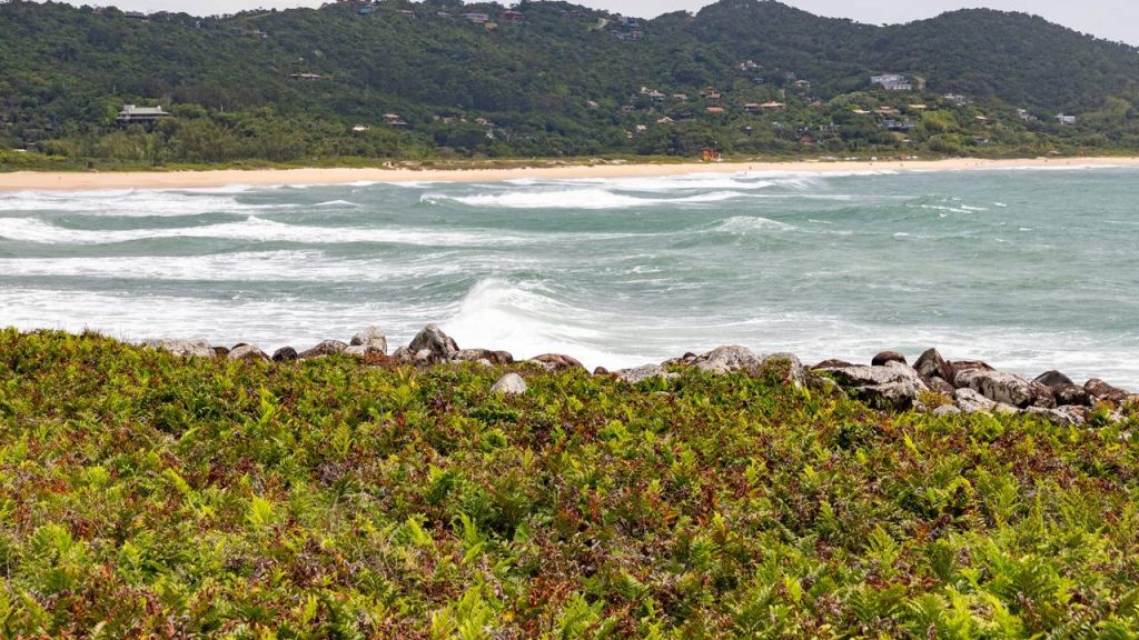 Jovens que buscam as melhores ondas e contato com a natureza encontram nesta cidade de SC o destino ideal para o surfe