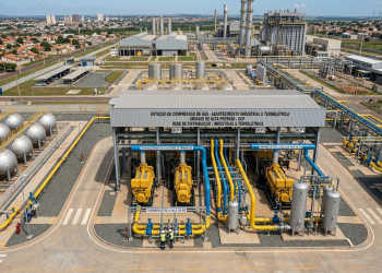 Energia para indústrias e termelétricas