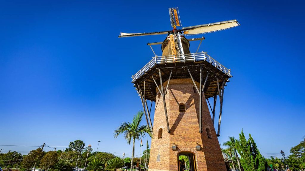 Com 16 mil habitantes e fundada em 1948, a cidade paulista quebra um recorde agrícola e produz 45% de todas as flores do Brasil