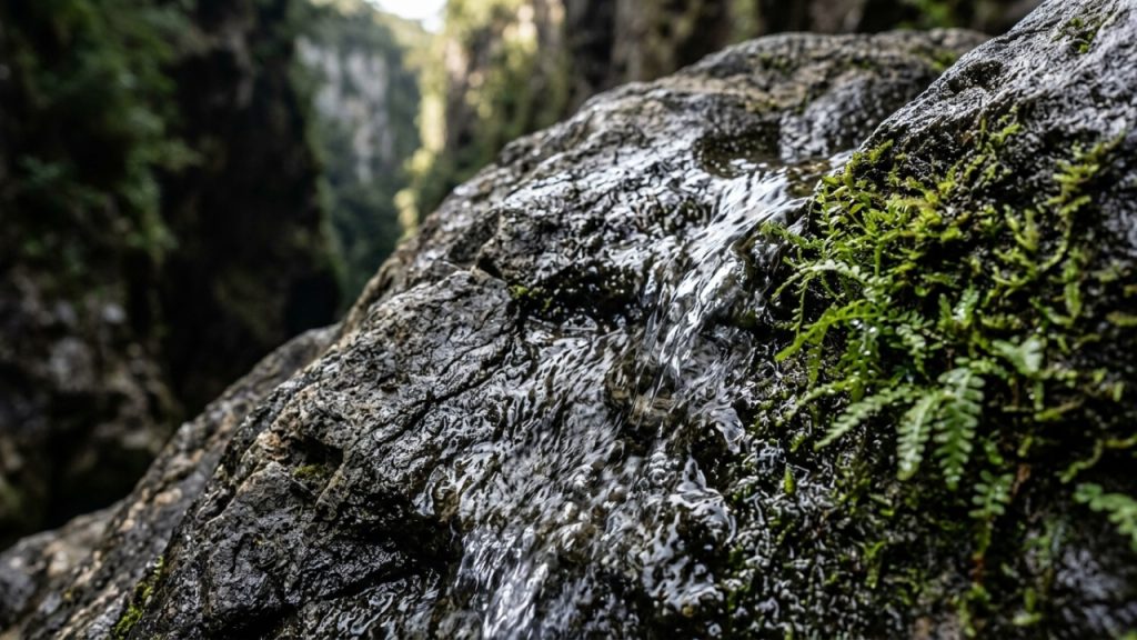 Formação geológica e ecoturismo no desfiladeiro sulista