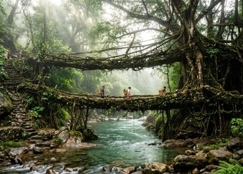 cidade no continente asiático que detém o recorde mundial de chuvas