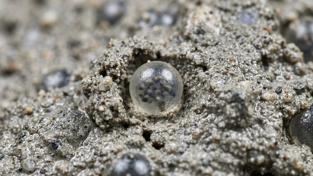 A engenharia do cimento inteligente e como ele prolonga a vida útil das obras