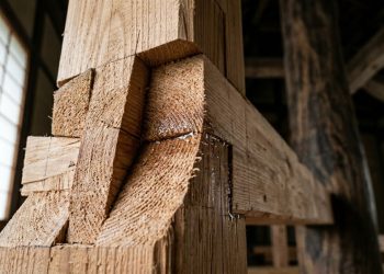 O funcionamento físico e biológico das estruturas de madeira