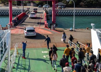 A ilha japonesa abriga milhares de coelhos selvagens trazidos para o local em 1971; o destino virou um fenômeno mundial de turismo animal