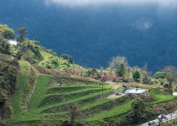 Com 209 km de extensão entre vales profundos, a rodovia taiwanesa corta o sul da ilha e surge como uma rota de engenharia de alta complexidade