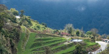 Com 209 km de extensão entre vales profundos, a rodovia taiwanesa corta o sul da ilha e surge como uma rota de engenharia de alta complexidade