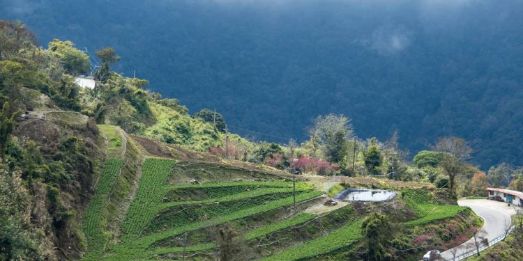 Com 209 km de extensão entre vales profundos, a rodovia taiwanesa corta o sul da ilha e surge como uma rota de engenharia de alta complexidade
