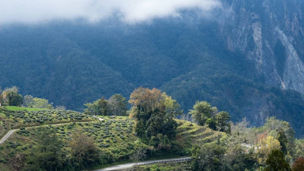 Com 209 km de extensão entre vales profundos, a rodovia taiwanesa corta o sul da ilha e surge como uma rota de engenharia de alta complexidade