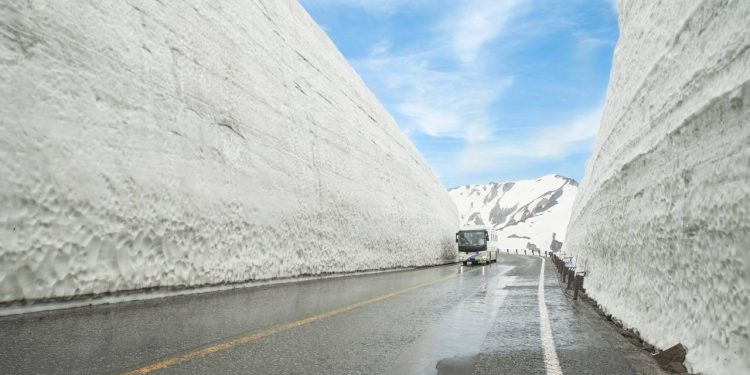 Com paredes de neve de até 20 metros de altura, a rota cênica no Japão surge como um corredor de gelo único na engenharia