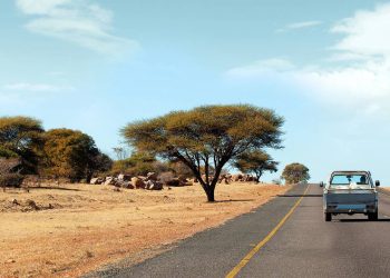 Com 1.900 km de extensão pelo deserto, a rodovia Trans-Kalahari conecta três países como um dos principais corredores logísticos da África Austral