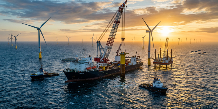 A fundação submarina silenciosa que permite construir usinas eólicas no mar sem perturbar as baleias