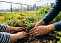 Transforme seu telhado em um jardim vivo que resfria naturalmente a sua casa.