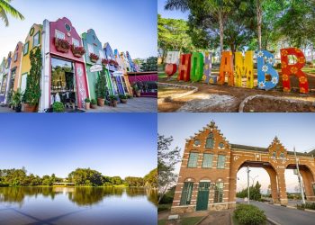 Com 16 mil habitantes e fundada em 1948, a cidade paulista quebra um recorde agrícola e produz 45% de todas as flores do Brasil