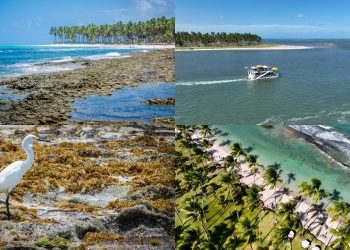 Com 16 km de praias preservadas e águas cristalinas, a cidade em Pernambuco surge como um dos refúgios litorâneos mais belos do país