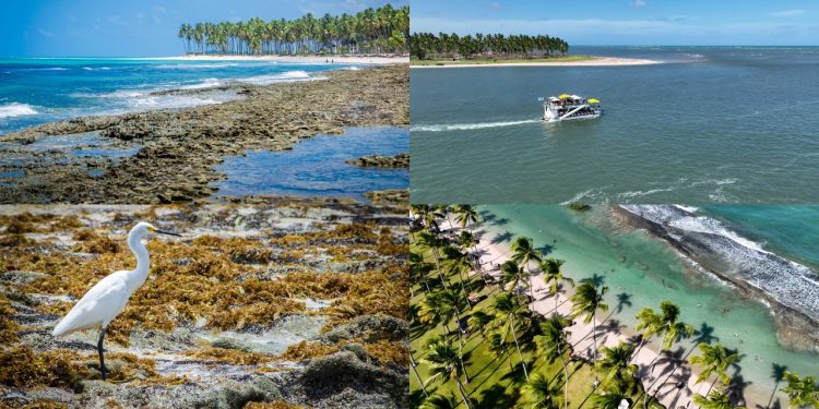 Com 16 km de praias preservadas e águas cristalinas, a cidade em Pernambuco surge como um dos refúgios litorâneos mais belos do país