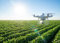 O analista de dados do agronegócio que senta no ar-condicionado de um escritório em São Paulo e gerencia remotamente a produtividade de fazendas no Mato Grosso com salário de R$ 12 mil