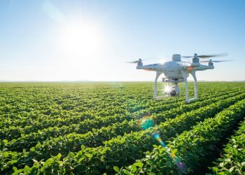 O analista de dados do agronegócio que senta no ar-condicionado de um escritório em São Paulo e gerencia remotamente a produtividade de fazendas no Mato Grosso com salário de R$ 12 mil