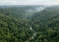 O implacável trecho de 106 quilômetros na selva que destruiu toda a engenharia moderna e rasgou a maior e mais famosa rodovia das Américas pela metade