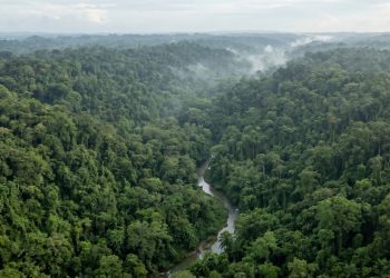 O implacável trecho de 106 quilômetros na selva que destruiu toda a engenharia moderna e rasgou a maior e mais famosa rodovia das Américas pela metade