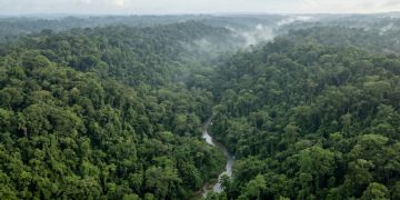 O implacável trecho de 106 quilômetros na selva que destruiu toda a engenharia moderna e rasgou a maior e mais famosa rodovia das Américas pela metade