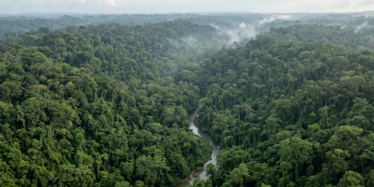 O implacável trecho de 106 quilômetros na selva que destruiu toda a engenharia moderna e rasgou a maior e mais famosa rodovia das Américas pela metade