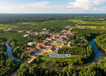 A pacata cidade isolada na selva amazônica que foi construída por japoneses e se tornou a capital mundial da pimenta preta
