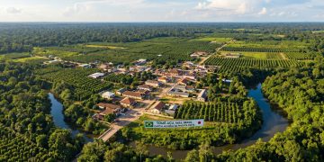A pacata cidade isolada na selva amazônica que foi construída por japoneses e se tornou a capital mundial da pimenta preta