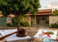 A lei sobre cortar uma árvore