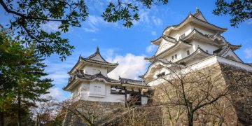 A cidade de Iga Ueno, com seu castelo de madeira e 400 anos de tradição, é celebrada como o berço histórico dos ninjas no Japão