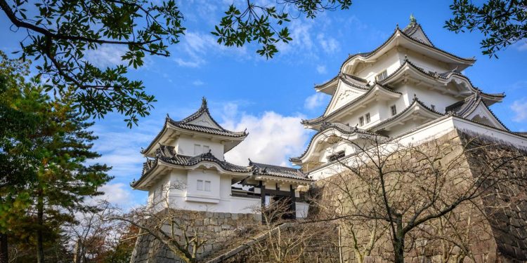 A cidade de Iga Ueno, com seu castelo de madeira e 400 anos de tradição, é celebrada como o berço histórico dos ninjas no Japão