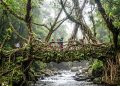 O município na Índia reconhecido como o lugar mais húmido do planeta onde chove 12 metros de água por ano e as pontes são vivas