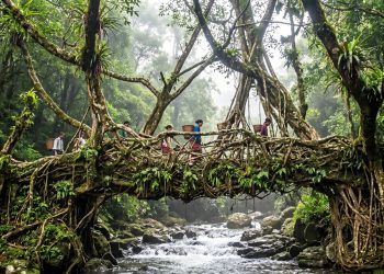 O município na Índia reconhecido como o lugar mais húmido do planeta onde chove 12 metros de água por ano e as pontes são vivas