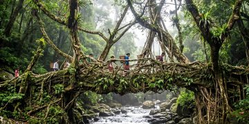 O município na Índia reconhecido como o lugar mais húmido do planeta onde chove 12 metros de água por ano e as pontes são vivas