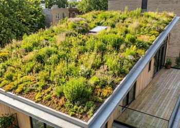 Como a arquitetura bioclimática utiliza coberturas vegetais para mitigar ilhas de calor na sua casa
