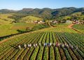 A isolada comunidade agrícola no interior de Minas Gerais construída e governada exclusivamente por mais de 300 mulheres
