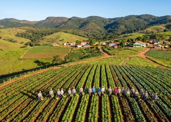 A isolada comunidade agrícola no interior de Minas Gerais construída e governada exclusivamente por mais de 300 mulheres