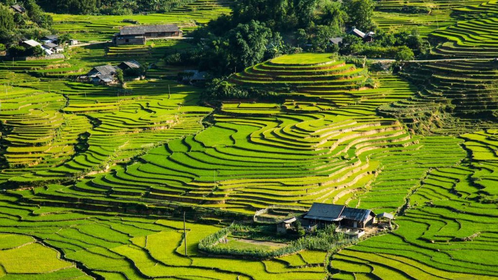 Cidade montanhosa do Vietnã fundada em 1903, Sapa é um ícone mundial pelos terraços de arroz esculpidos em encostas de 1.600 metros