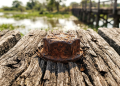 Rodovia Transpantaneira no Pantanal 2026 guia completo de turismo ecológico e vida selvagem