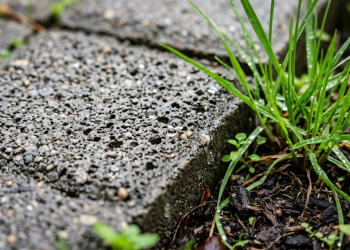 A metrópole que não alaga: o design urbano que transforma avenidas em gigantescos sistemas de drenagem natural para evitar enchentes