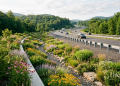 O filtro natural debaixo da estrada: como o jardim lateral limpa a água tóxica dos carros antes de devolvê-la para a natureza