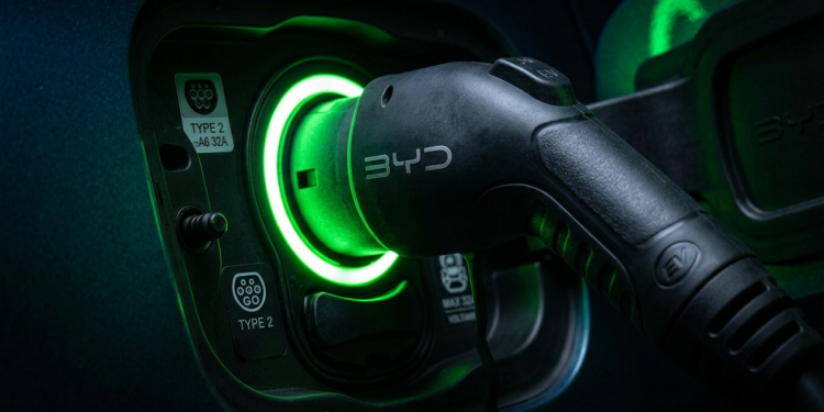 Antes de comprar o BYD Dolphin, veja essas verdades sobre custo, recarga e uso real
