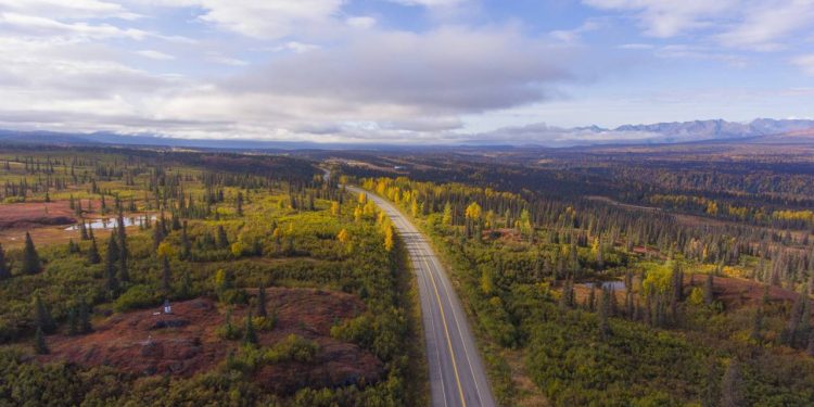 Cruzando 520 km entre Anchorage e Fairbanks, a George Parks Highway corta o Alasca e surge como a rota recorde para ver o monte Denali