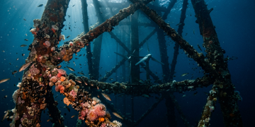 Escócia Holanda e Inglaterra transformam antigas plataformas de petróleo de 50 mil toneladas abandonadas no mar em enormes recifes de corais artificiais e centrais geradoras de energia azul