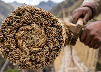 A engenharia de materiais revela que as pontes suspensas trançadas há 600 anos com a técnica inca de grama selvagem seca não se tornam cordas apodrecidas sobre o desfiladeiro elas desenvolvem silenciosamente algo que a maioria dos cabos de aço nunca conseguirá oferecer a capacidade elástica de suportar toneladas distribuindo a tensão perfeitamente entre fibras vegetais